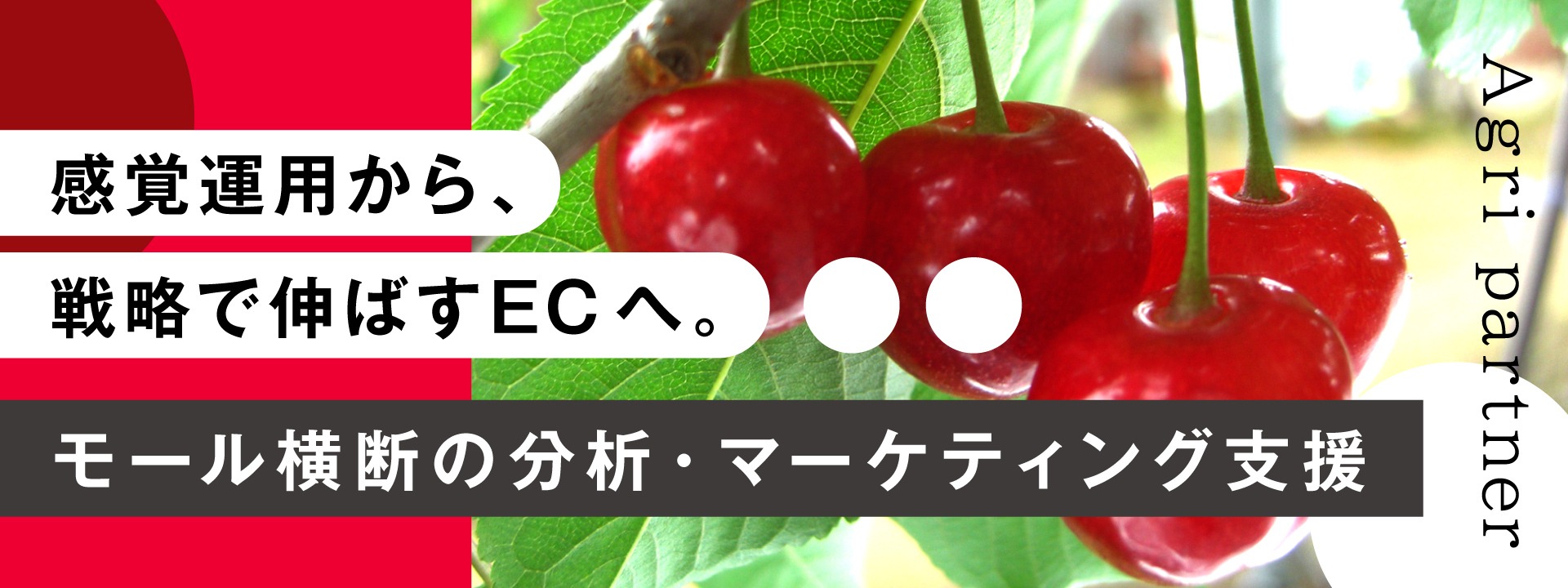 ECモール(Amazon・楽天・Yahoo)分析〜売上拡大に向けたマーケティング戦略支援パートナー募集!