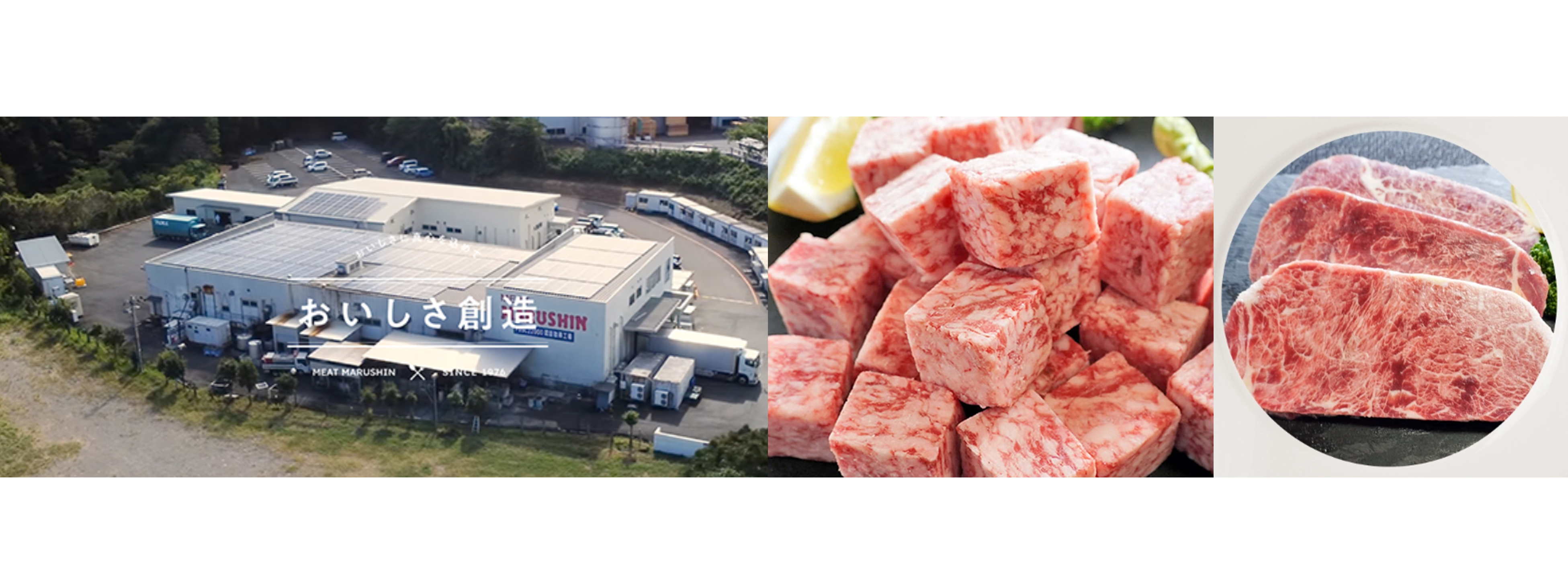 日本品質をアジアへ届ける!牛成型肉・加工肉の販路拡大に向け、各国の嗜好や輸入規制に基づく商品化のアドバイスをお願いします!