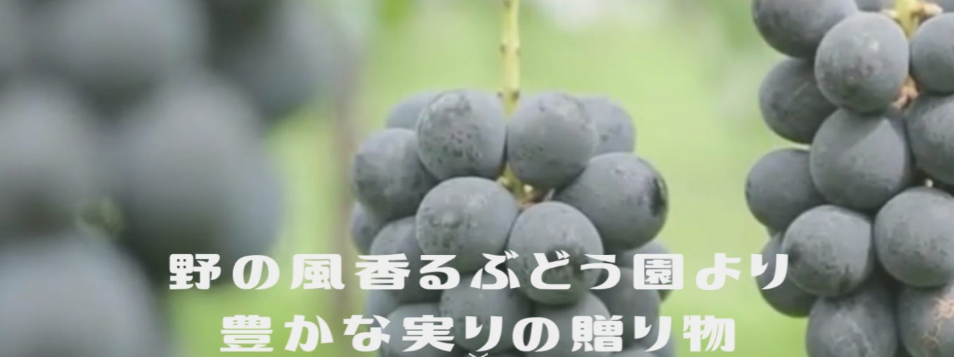【プレミアム農産物提供の農園!】現場マネジメント・農業管理パートナー募集 ※週末農業※