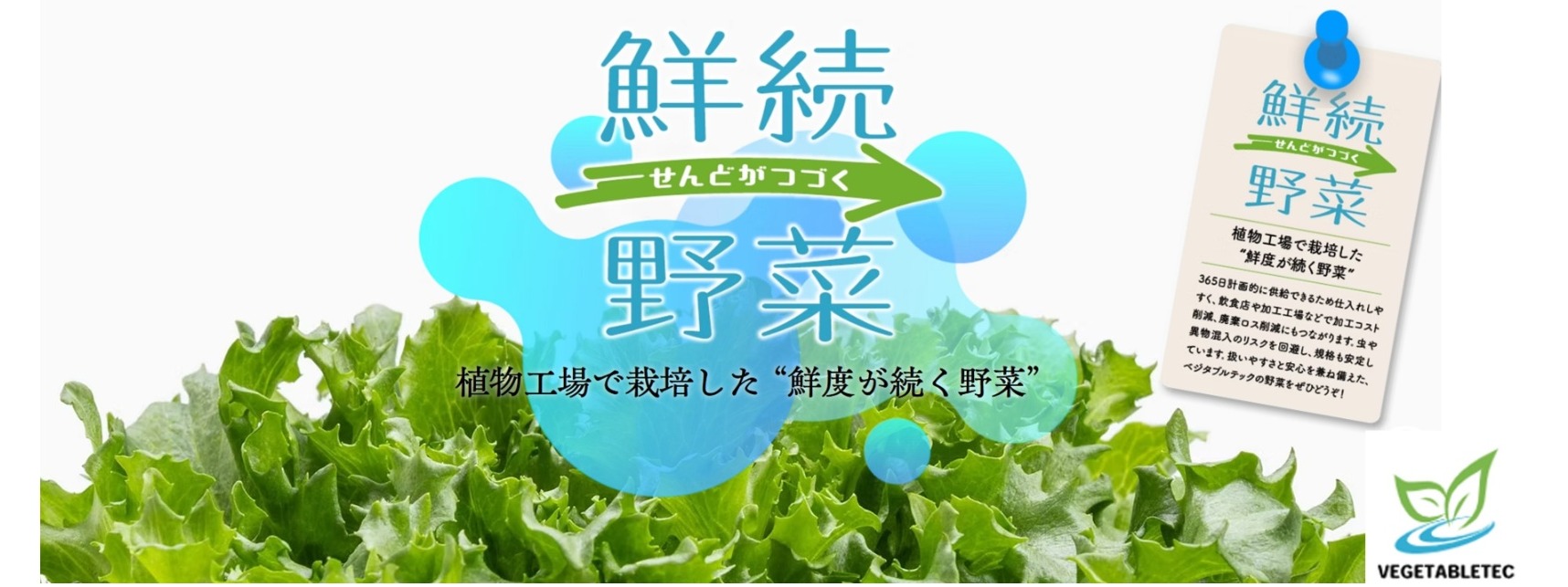 【関東最大級の植物工場から新鮮葉野菜をお届け/茨城県】新たな市場を切り拓け!BtoBテレアポ・メール営業のエキスパートを募集!